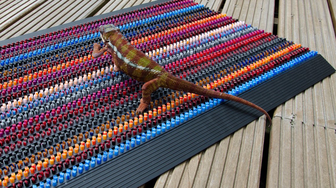 ABI burstamotta Chameleon 90 x 57,5 cm